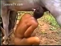 Pet Porn - A Man sucks the ramrod of horse for the raunchy satisfaction